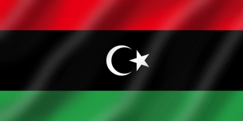 UAE Flag